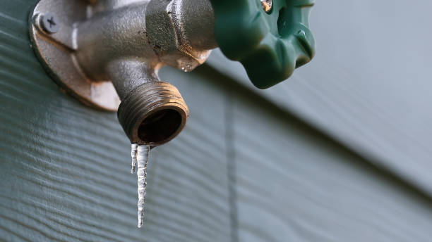 Best Shower Repair Services  in Tri City, OR